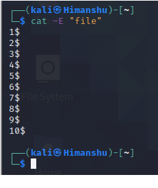 Explore Cat Command in Linux