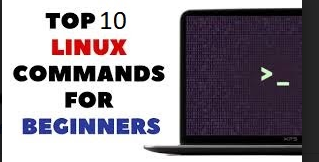 Basic Commands for Every Linux User
