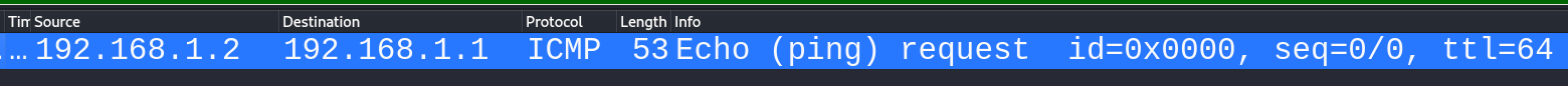 packets show on wireshark