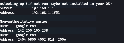Nslookup result