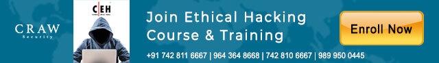 ethical hacking institute