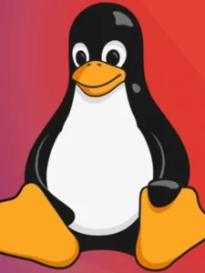 linux